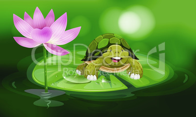 tortoise floating on lotus leaf in the pond