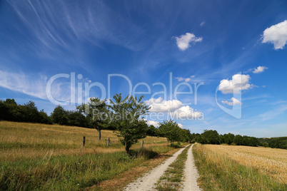 Landscape with fields, meadows and a dirt road