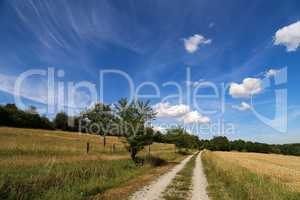 Landscape with fields, meadows and a dirt road