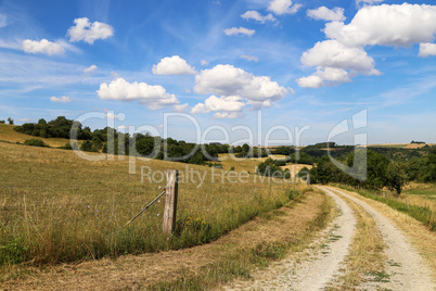 Landscape with fields, meadows and a dirt road