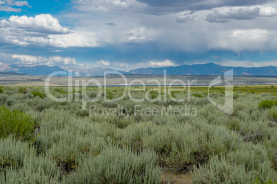 Long valley next the Lake Crowley, Mono County, California. USA.