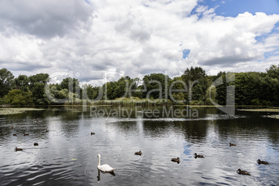 Trittau - Pond Mühlenteich