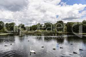 Trittau - Pond Mühlenteich