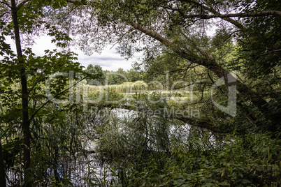 Trittau - Pond Mühlenteich