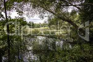 Trittau - Pond Mühlenteich