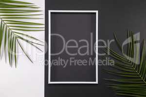 Frame of tropical palm leaves on black and white background