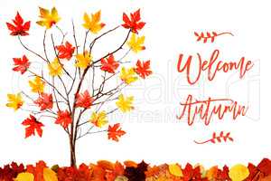 Tree With Colorful Leaf Decoration, English Calligraphy Welcome Autumn
