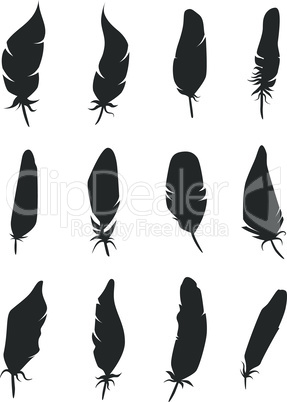 Bird feathers black silhouette icon set