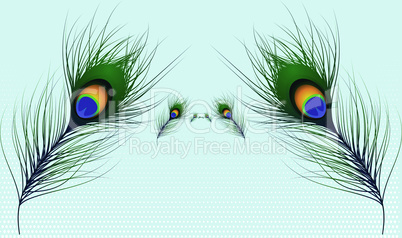 vector design of peacock hair on light abstract background