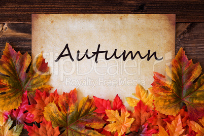 Old Paper With Text Autumn, Colorful Leaves Decoration