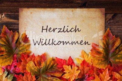 Grungy Old Paper, Colorful Leaves, Willkommen Means Welcome