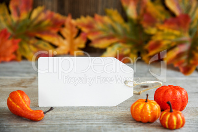 Label With Autumn Decoration, Copy Space, Leaves, Pumpkin