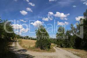 Summer landscape with blue sky and white clouds