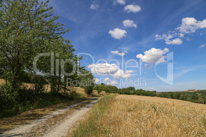 Summer landscape with blue sky and white clouds