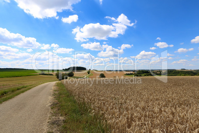 Summer landscape with blue sky and white clouds