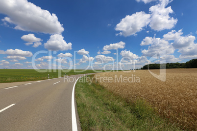 Summer landscape with blue sky and white clouds