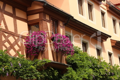 Blossoming geranium on the windows and balconies