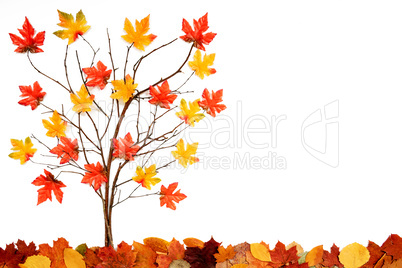 Tree With Colorful Leaf Decoration, Copy Space