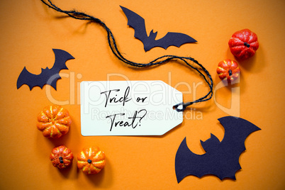 Label With Text Trick Or Treat, Halloween And Autumn Decoration