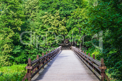 Old Wooden Bridge Over River in Deep Forest