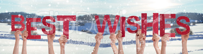 People Hands Holding Word Best Wishes, Snowy Winter Background