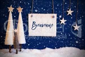 Christmas Tree, Blue Background, Snow, Bienvenue Means Welcome, Snowflakes