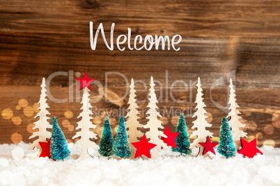 Christmas Tree, Snow, Red Star, Text Welcome, Wooden Background