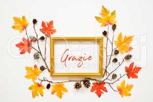 Colorful Autumn Leaf Decoration, Frame, Text Grazie Means Thank You