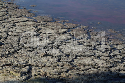 A salt lake with a cracked mud coast