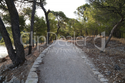 Walking path on the coast of the canal of St. Ante near Sibenik in Croatia