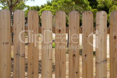 Wooden garden fence at backyard and trees in summer