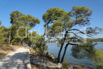 Walking path on the coast of the canal of St. Ante near Sibenik in Croatia