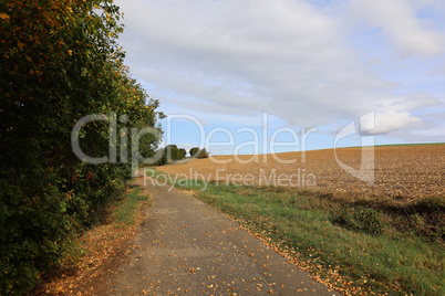Autumn landscape with cleared fields and cloudy sky