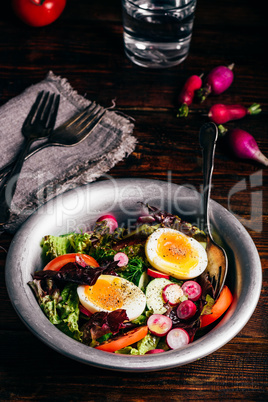 Fresh spring salad with homegrown vegetables and boiled eggs