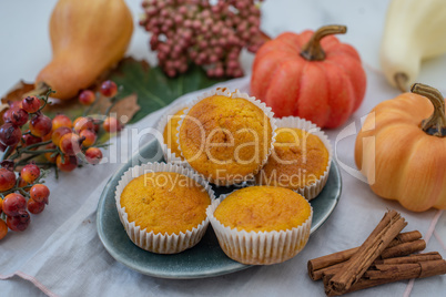 Kürbis Muffins