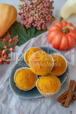 Kürbis Muffins