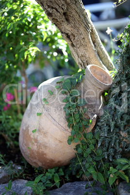 Decoration with clay jug and green plants