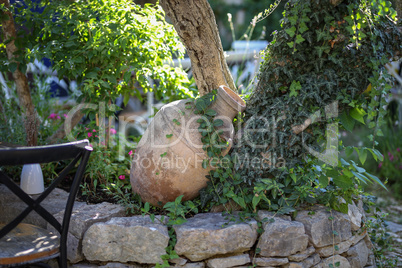 Decoration with clay jug and green plants