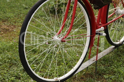 Old bicycle with flower pots stands in the garden