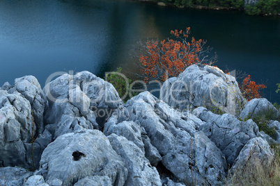 Bright shrubs grow on the rocks of the rocky riverbank