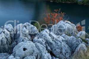 Bright shrubs grow on the rocks of the rocky riverbank