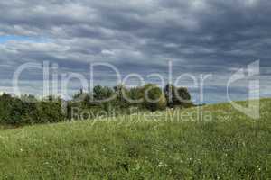 Summer landscape with green meadow and cloudy sky