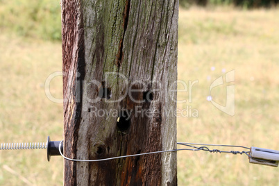 Old wooden pole from the electric fence in the pasture