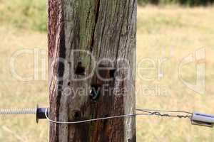 Old wooden pole from the electric fence in the pasture
