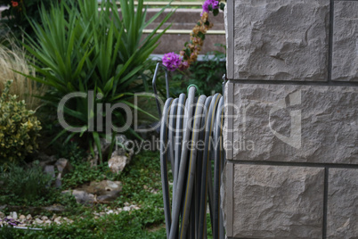 Gray garden hose hangs on a wall