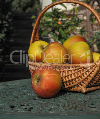 Rustic organic apples in a wicker basket on a green garden table