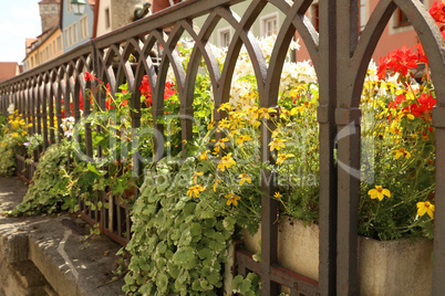 Beautiful flowers behind a decorative metal fence