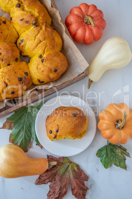 Kürbis Schoko Milchbrötchen