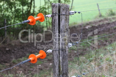 Electric fence gate protects a green grass pasture