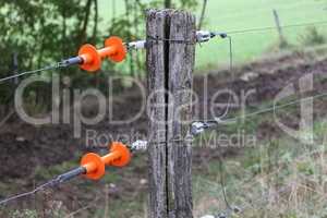 Electric fence gate protects a green grass pasture